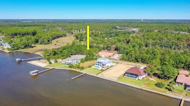 VIEW OF CHOCTAWHATCHEE BAY! DO NOT MISS THIS HALF ACRE lot on a - photo 1