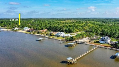 VIEW OF CHOCTAWHATCHEE BAY! DO NOT MISS THIS HALF ACRE lot on a - photo 3