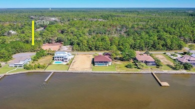 VIEW OF CHOCTAWHATCHEE BAY! DO NOT MISS THIS HALF ACRE lot on a - photo 4