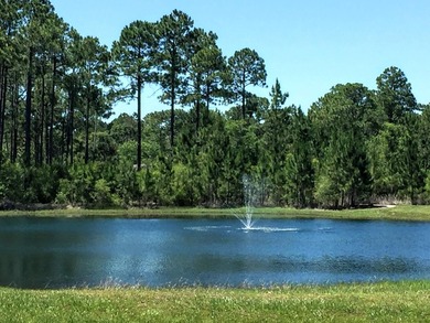 VIEW OF CHOCTAWHATCHEE BAY! DO NOT MISS THIS HALF ACRE lot on a - photo 10