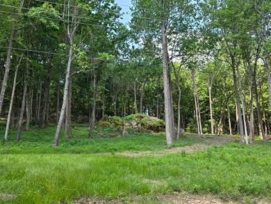 Rustic Setting, Close to the Lake! - photo 7