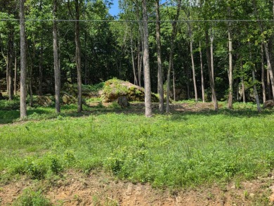Rustic Setting, Close to the Lake! - photo 9