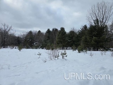 Fumee Lake Acreage For Sale in Iron Mountain Michigan