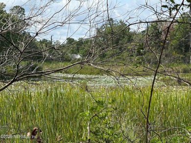 (private lake, pond, creek) Acreage For Sale in Interlachen Florida