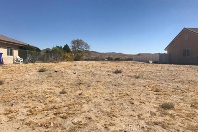 Silver Lakes Lot For Sale in Helendale California