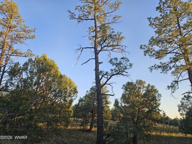Let us build this (or similar) home on a gorgeous, treed - photo 12