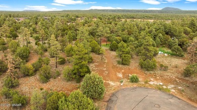 Let us build this (or similar) home on a gorgeous, treed - photo 14