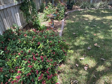 Beautiful from the curb to the back yard. Decorator colors in - photo 23