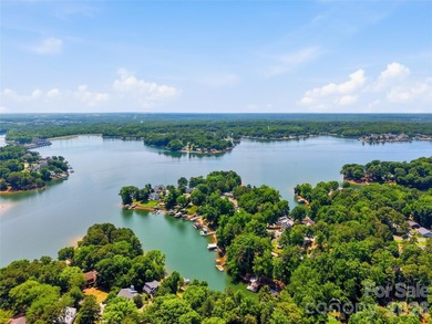 Live the ultimate lakefront lifestyle in this stunning, updated - photo 46