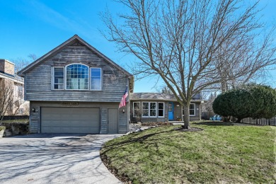 Lake Home Sale Pending in Hinsdale, Illinois