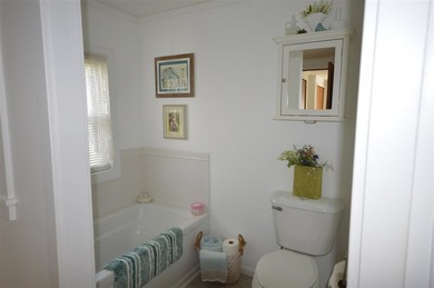 Charming & Meticulously Maintained Victorian Mobile Home Step - photo 17