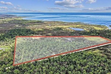Rare 24 acres of pristine Old Florida land, with stunning - photo 1