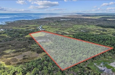 Rare 24 acres of pristine Old Florida land, with stunning - photo 3