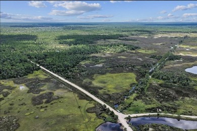 Rare 24 acres of pristine Old Florida land, with stunning - photo 4