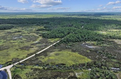 Rare 24 acres of pristine Old Florida land, with stunning - photo 6