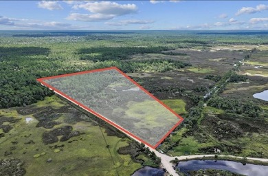Rare 24 acres of pristine Old Florida land, with stunning - photo 8