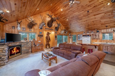 Upper Buckatabon Lake Home For Sale in Conover Wisconsin