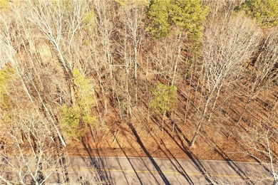 Premier Homesite in Chickasaw Point - Seasonal Lake Hartwell - photo 1