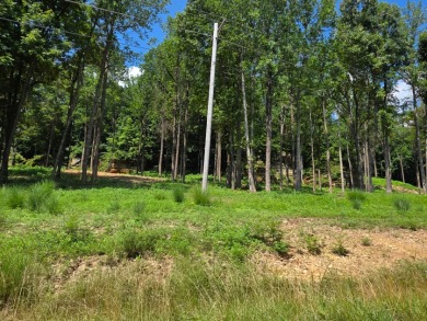 Rustic Setting, Close to the Lake! - photo 5