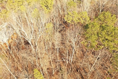 Premier Homesite in Chickasaw Point - Seasonal Lake Hartwell - photo 3
