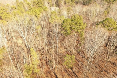 Premier Homesite in Chickasaw Point - Seasonal Lake Hartwell - photo 4