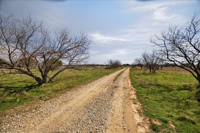 731+/- Acre North Texas Ranch Near Possum Kingdom Lake Located - photo 5