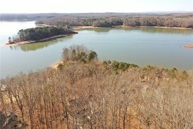 Premier Homesite in Chickasaw Point - Seasonal Lake Hartwell - photo 6