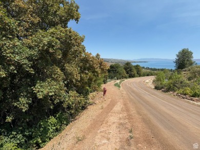 Bear Lake Lot For Sale in Garden City Utah