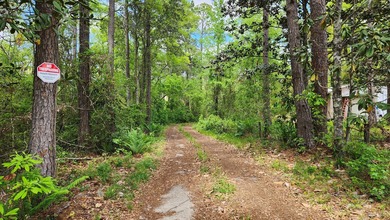 Prime road frontage along Florida State Highway 20 in the - photo 1