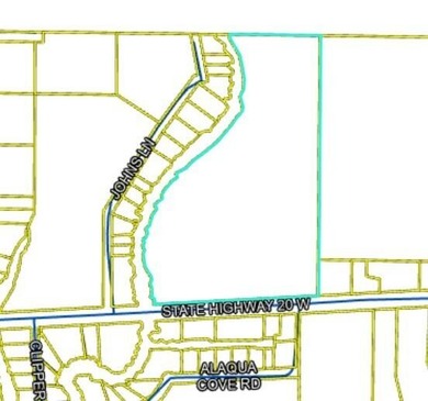 Prime road frontage along Florida State Highway 20 in the - photo 2