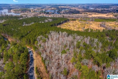 Just under 2 Acres with 140' +/- Waterfront - surveyed & ready - photo 3