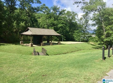 Just under 2 Acres with 140' +/- Waterfront - surveyed & ready - photo 10