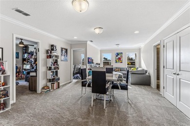 Welcome to 264 Lady Alice Drive -- a fully customized, newly - photo 20