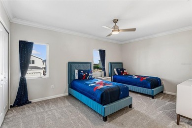 Welcome to 264 Lady Alice Drive -- a fully customized, newly - photo 28