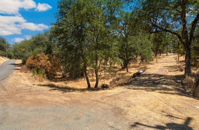 (private lake, pond, creek) Acreage For Sale in Shingle Springs California