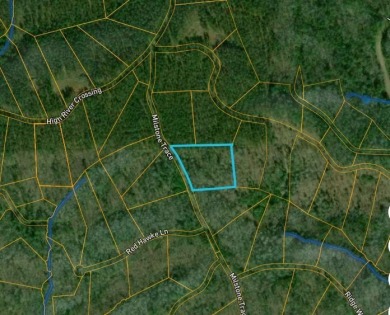 Lake Lot For Sale in Ellijay, Georgia