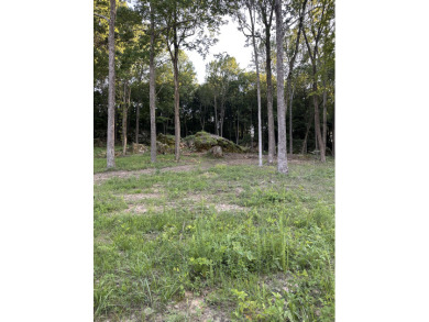Rustic Setting, Close to the Lake! - photo 13