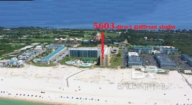 Direct Gulf-front studio with fantastic rental history and - photo 1