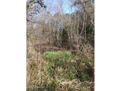 Discover a rare opportunity to own a stunning stretch of - photo 14
