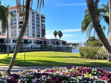 Lake Condo For Sale in St. Petersburg, Florida