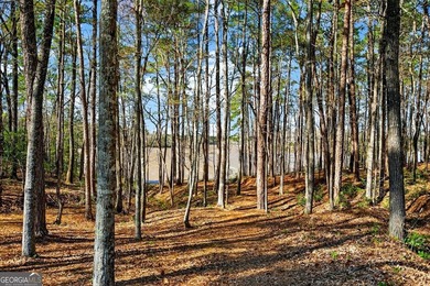 AMAZING WEST POINT LAKE HOME! Just listed this immaculate home - photo 35