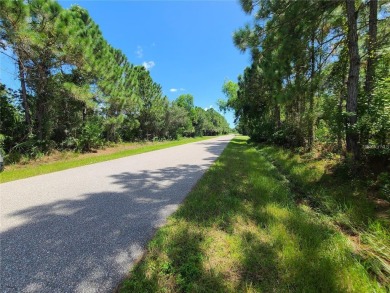 Great location inside Gulf Cove! Buyer is responsible for - photo 3