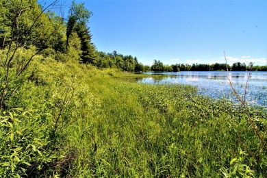 Lake of the Falls Lot For Sale in Mercer Wisconsin