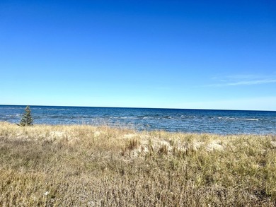 Gorgeous view across the street of Lake Huron from this - photo 17