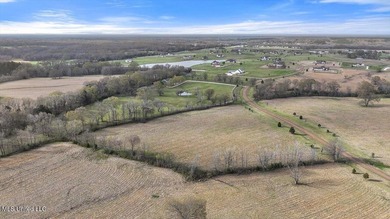 Come build your custom, dream home on this gorgeous lot located - photo 18