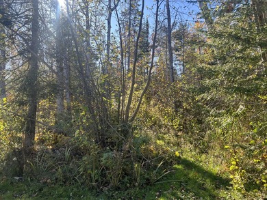 Gorgeous view across the street of Lake Huron from this - photo 22