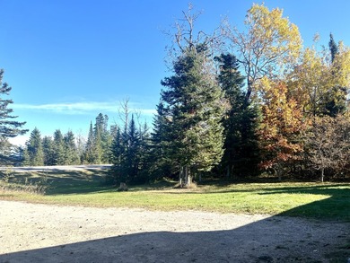 Gorgeous view across the street of Lake Huron from this - photo 23