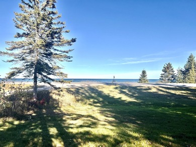 Gorgeous view across the street of Lake Huron from this - photo 24