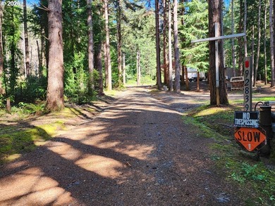 Tucked away on a private road in a charming coastal Oregon town - photo 25