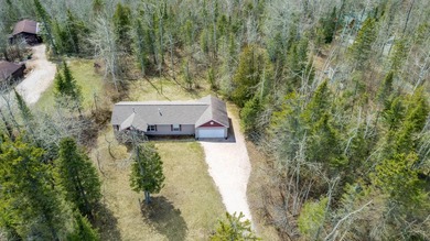 Gorgeous view across the street of Lake Huron from this - photo 27